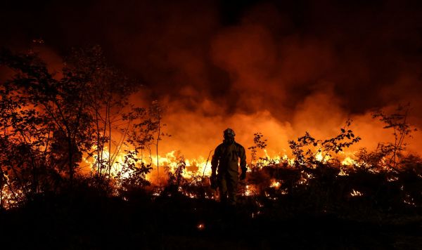 Пожар близ французской коммуны Луша, июль, 2022 год