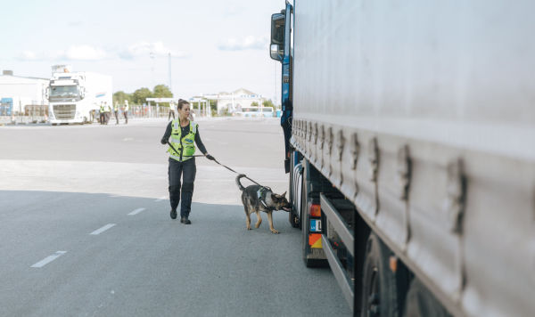 Досмотр грузового транспорта сотрудниками полиции Эстонии