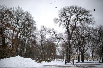 Парк в Вильнюсе, Литва