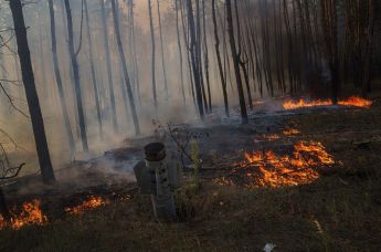 Ракета, застрявшая в земле во время лесного пожара