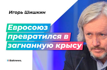 Игорь Шишкин