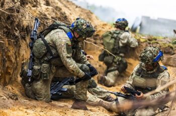 Военные армии Литвы