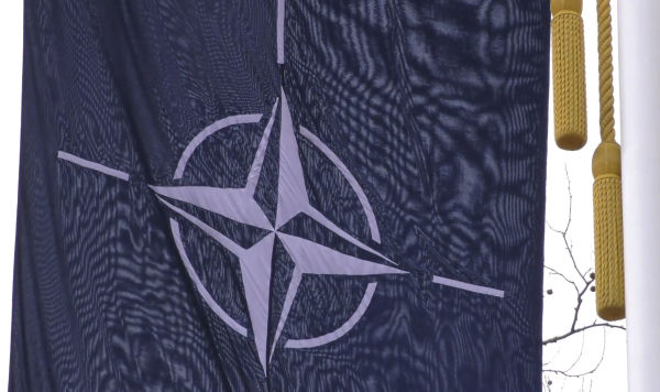 Развал НАТО: сможет ли альянс сохранить единство