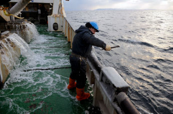 Рыбный промысел в районе острова Кунашир