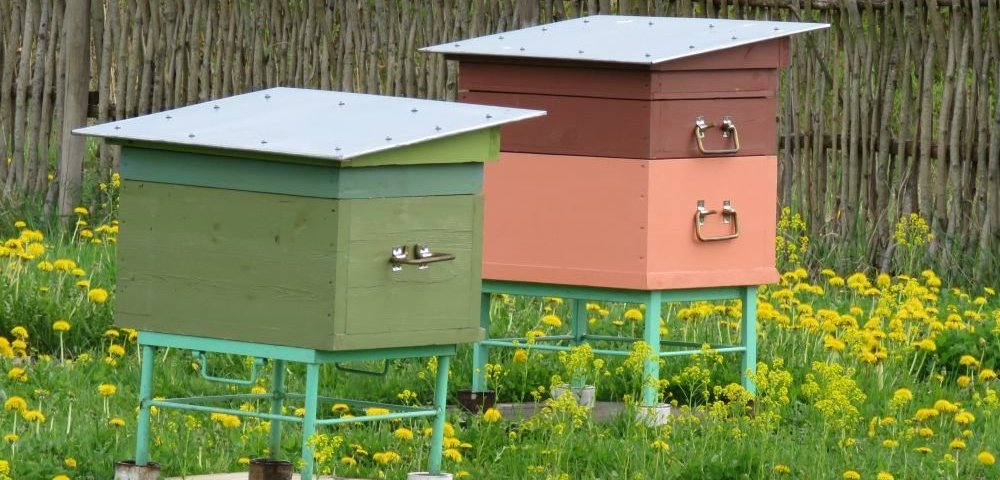 Пчелиные ульи.